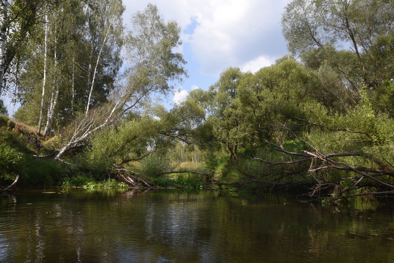 Ягодное, image of landscape/habitat.