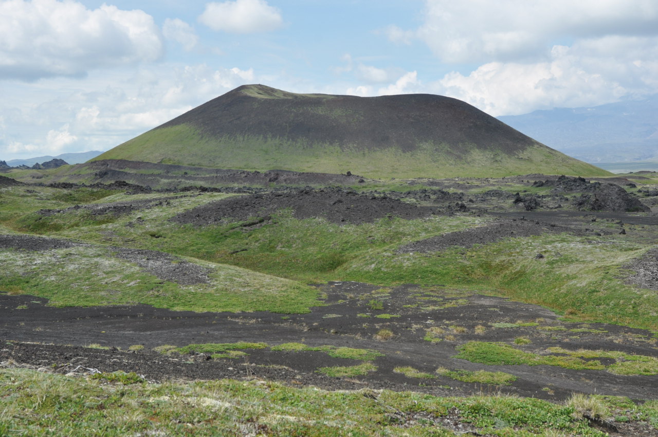 Перевал Толбачинский, image of landscape/habitat.