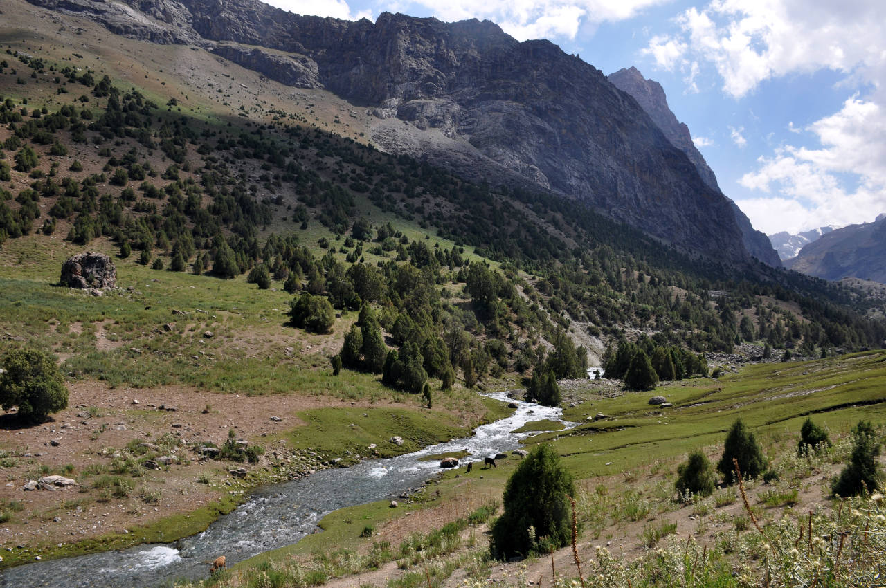 Долина реки Чапдара, image of landscape/habitat.