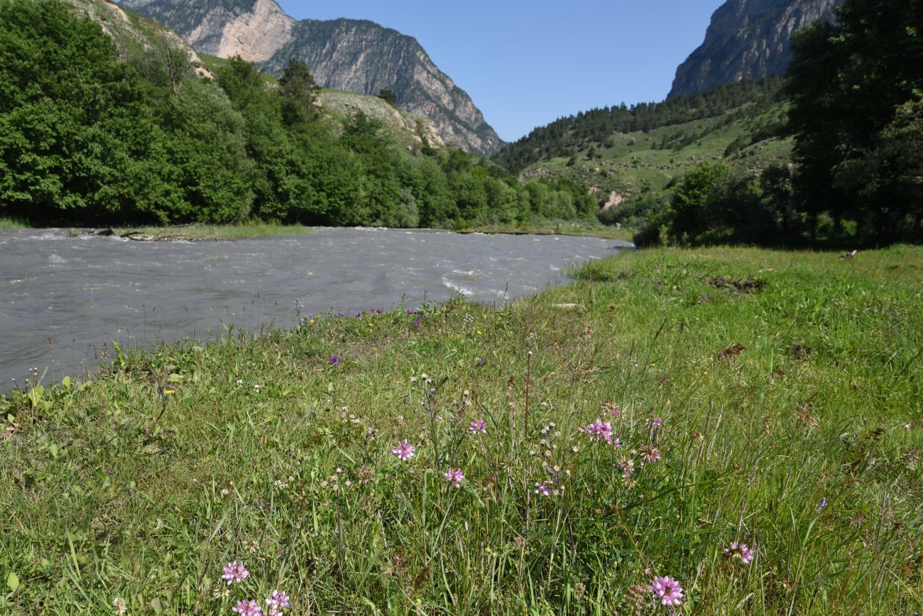 Окрестности урочища Таргим, image of landscape/habitat.