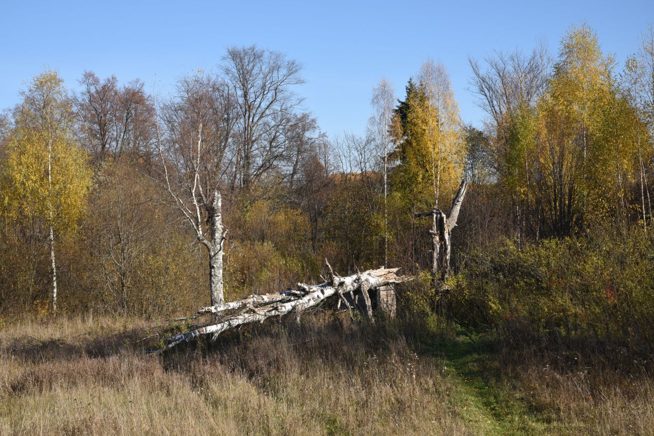 Село Унорож, image of landscape/habitat.