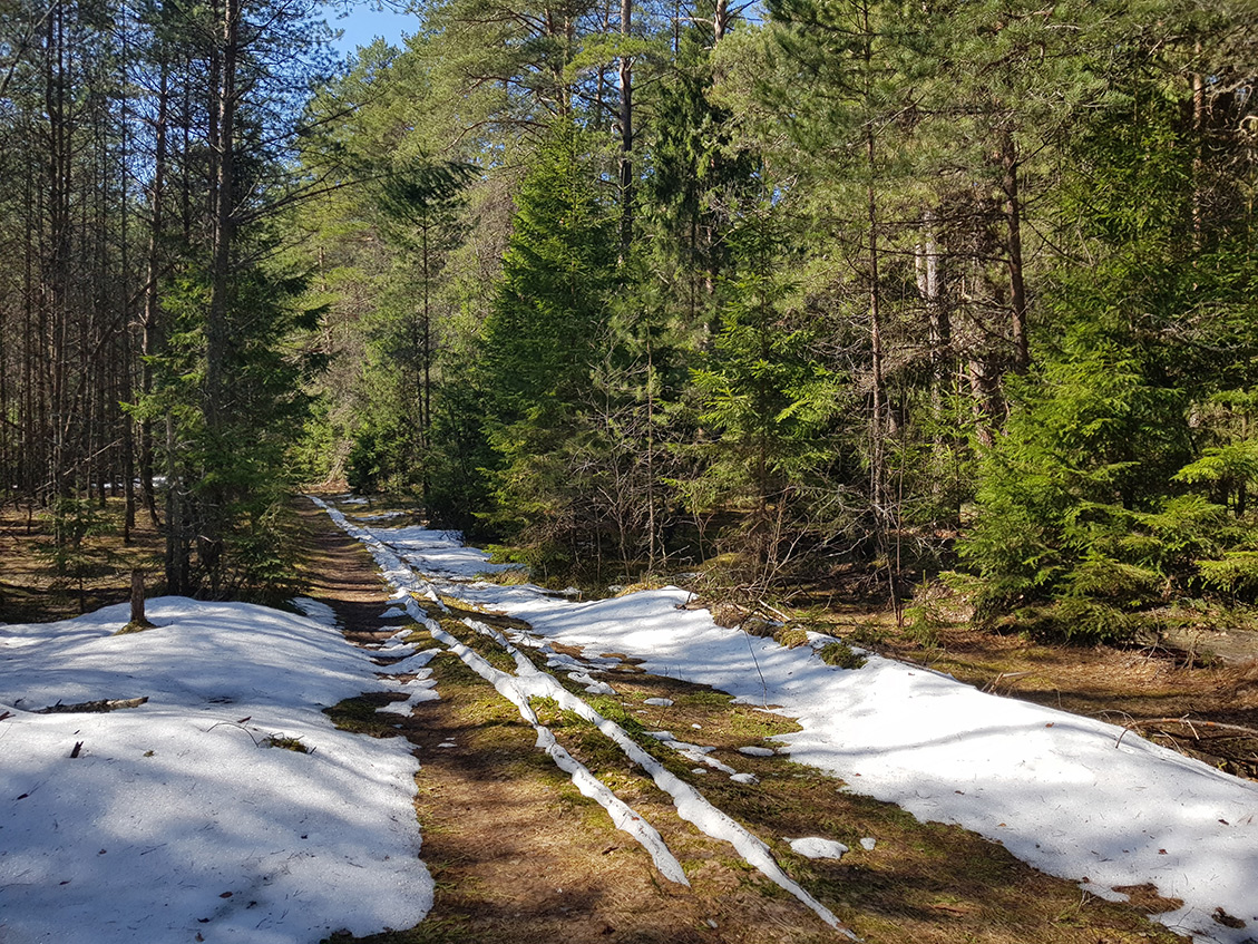 Клетинский бор, image of landscape/habitat.