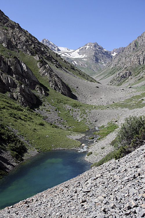 Ущелье Коксай, image of landscape/habitat.