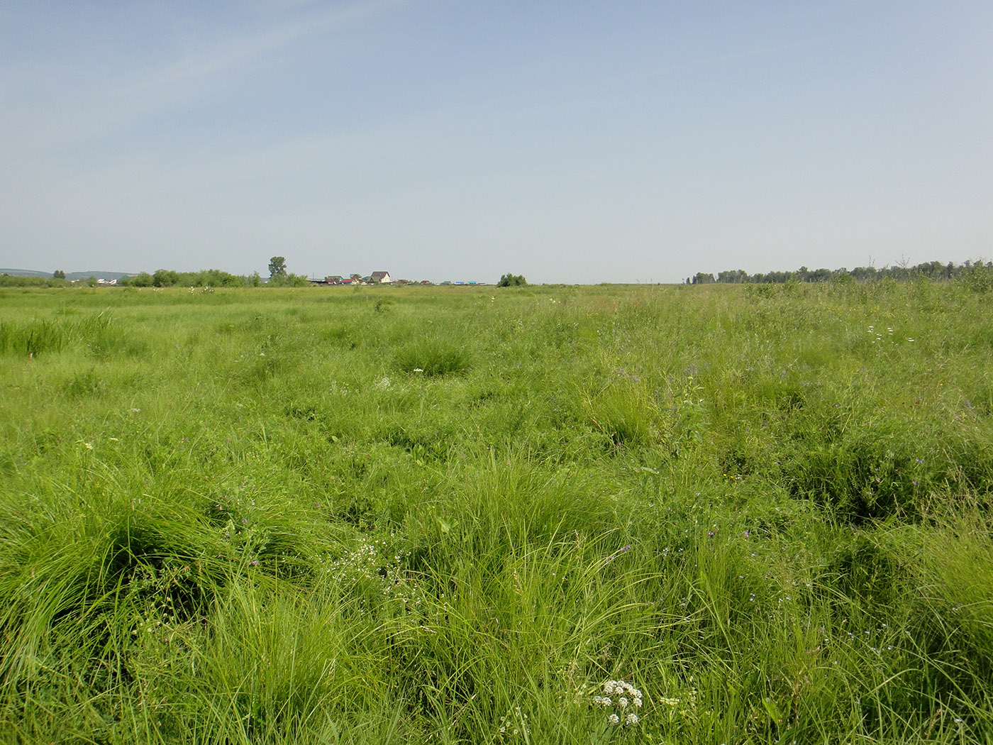 Позднякова, image of landscape/habitat.