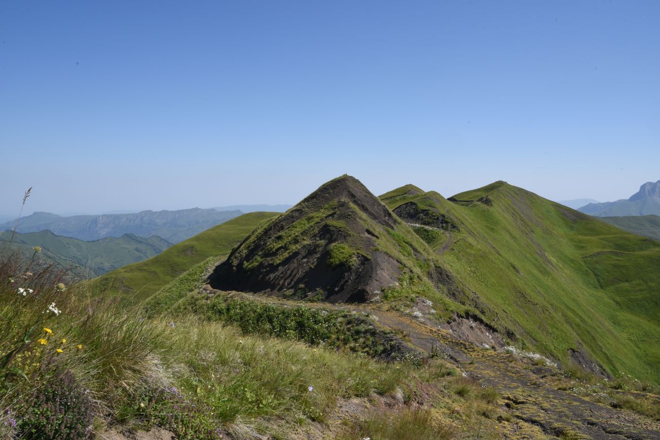 Окрестности горы Чархунышкорт, image of landscape/habitat.