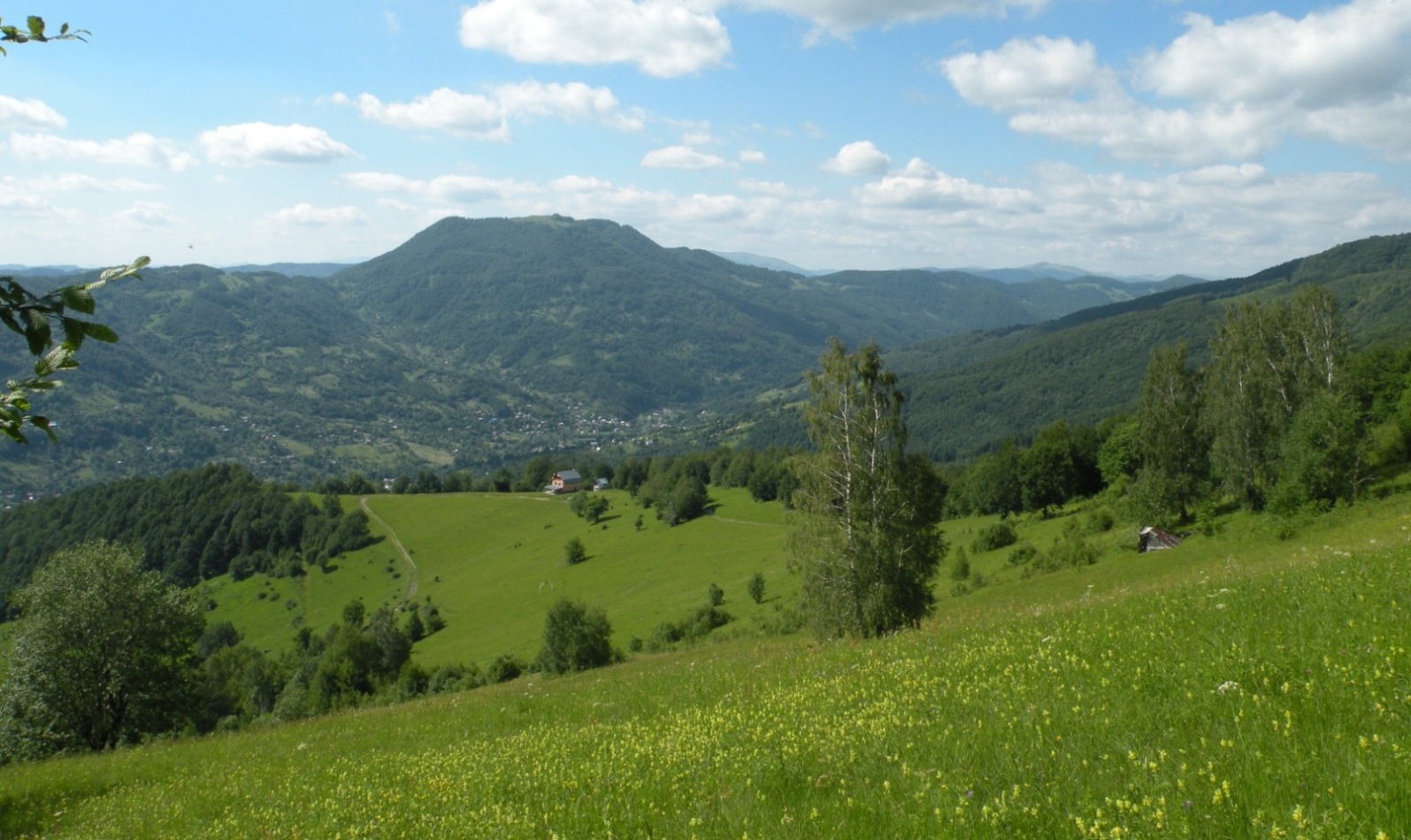 Косовская поляна, image of landscape/habitat.