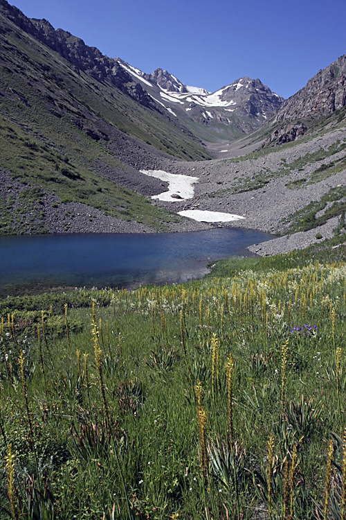 Ущелье Коксай, image of landscape/habitat.