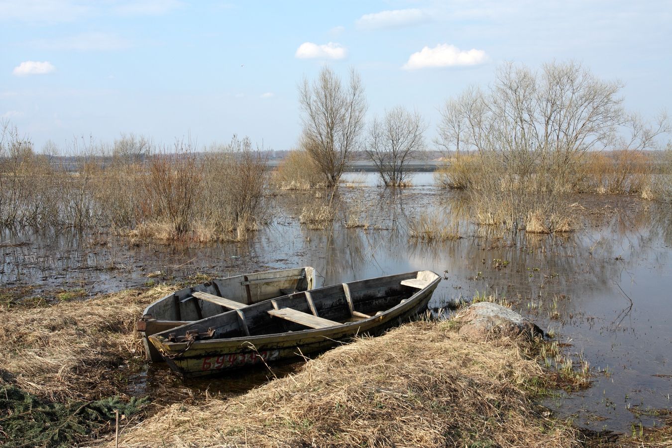 Езерище и окрестности, image of landscape/habitat.