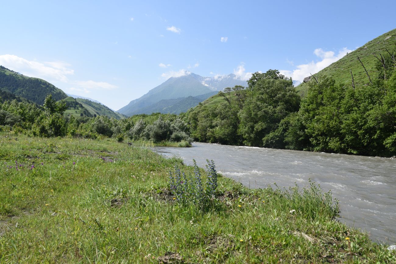 Окрестности урочища Таргим, image of landscape/habitat.