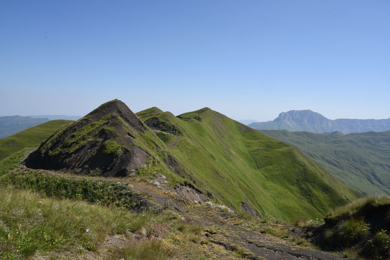 Окрестности горы Чархунышкорт, image of landscape/habitat.