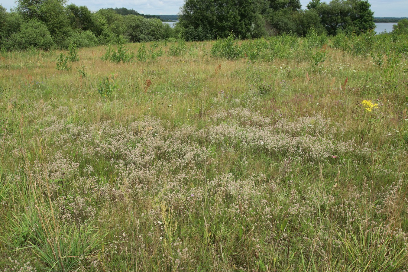 Езерище и окрестности, image of landscape/habitat.