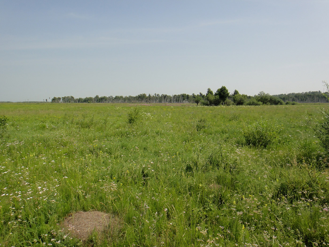 Позднякова, image of landscape/habitat.