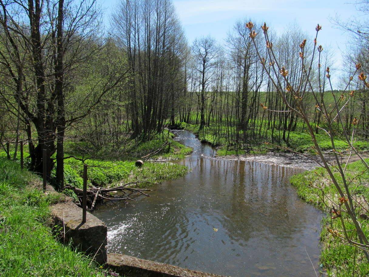 Радогоща, image of landscape/habitat.