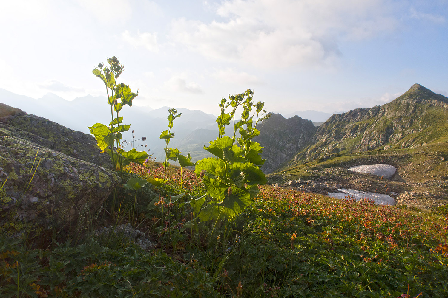 Перевал Загеданских озёр, image of landscape/habitat.