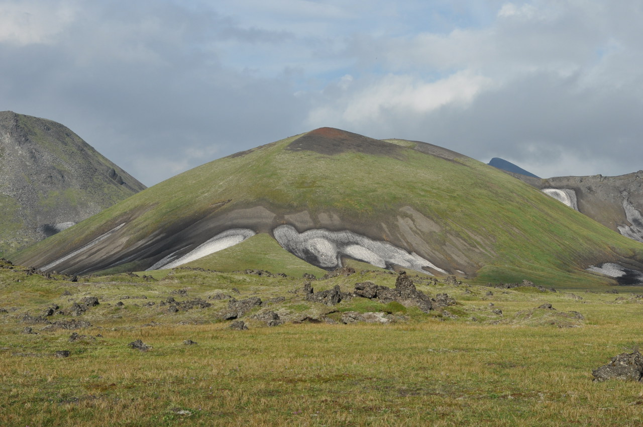 Перевал Толбачинский, image of landscape/habitat.