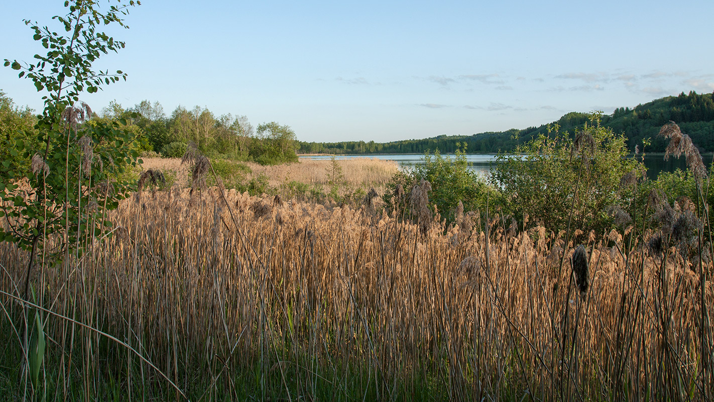 Изборско-Мальская долина, image of landscape/habitat.