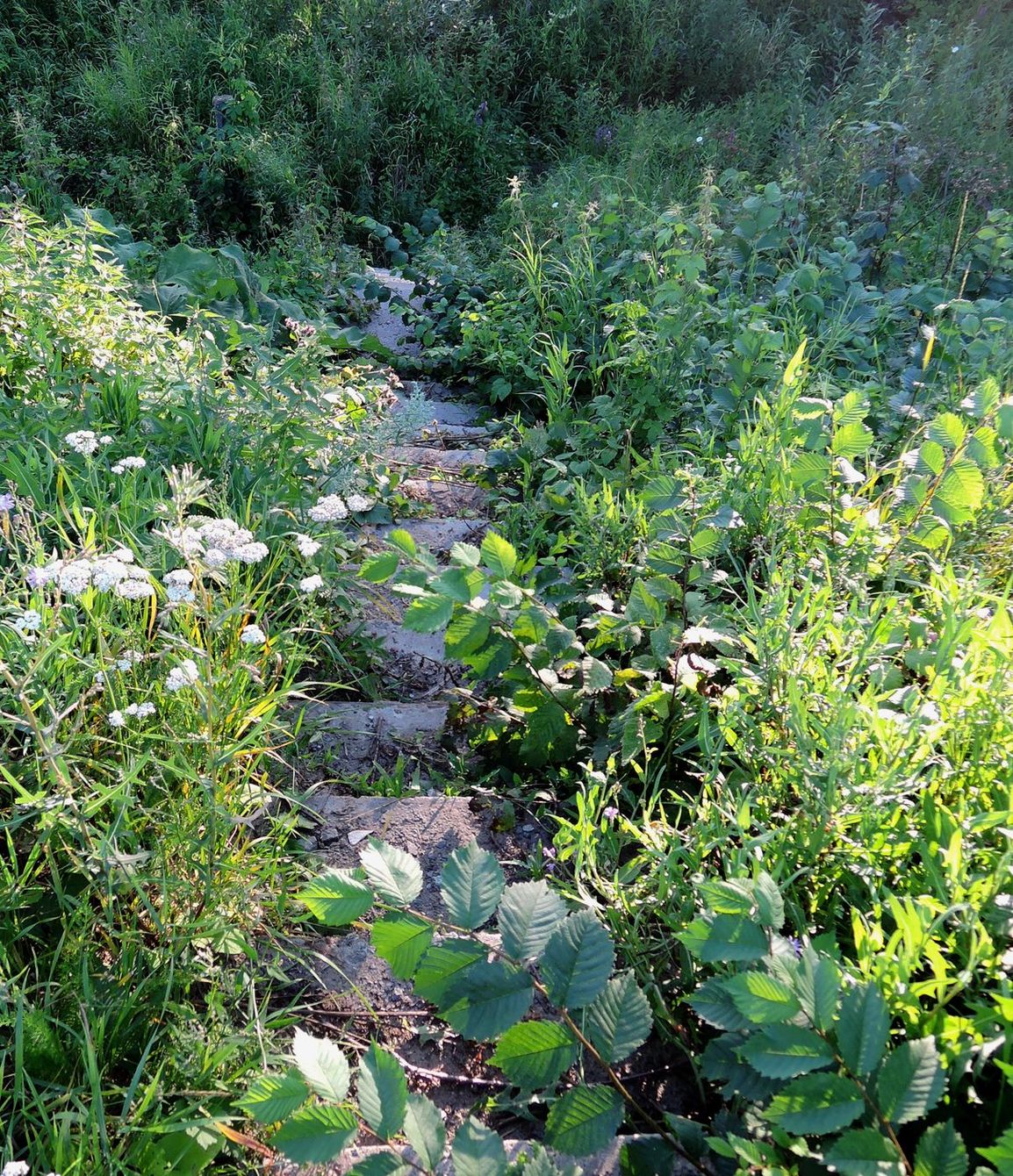 Мост через Позимь, image of landscape/habitat.