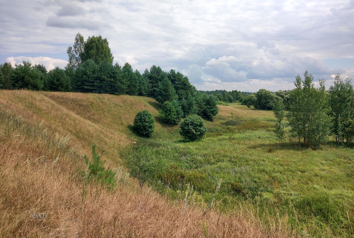 Клец, image of landscape/habitat.