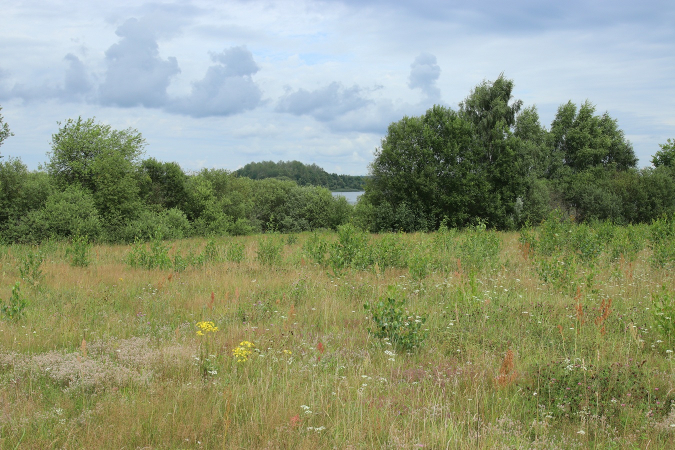 Езерище и окрестности, image of landscape/habitat.