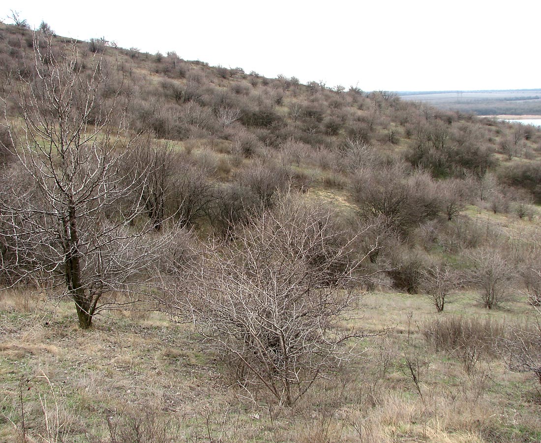 Клебан-Бык, image of landscape/habitat.