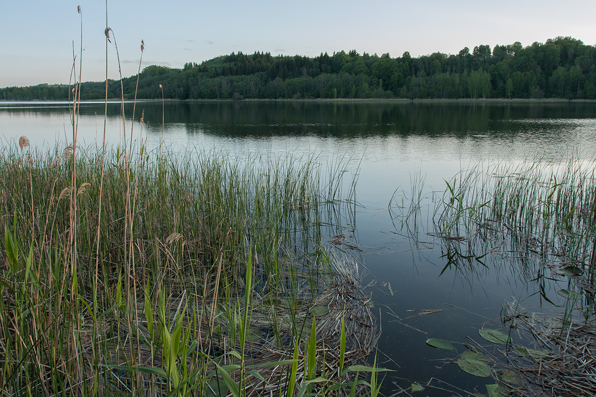 Изборско-Мальская долина, image of landscape/habitat.