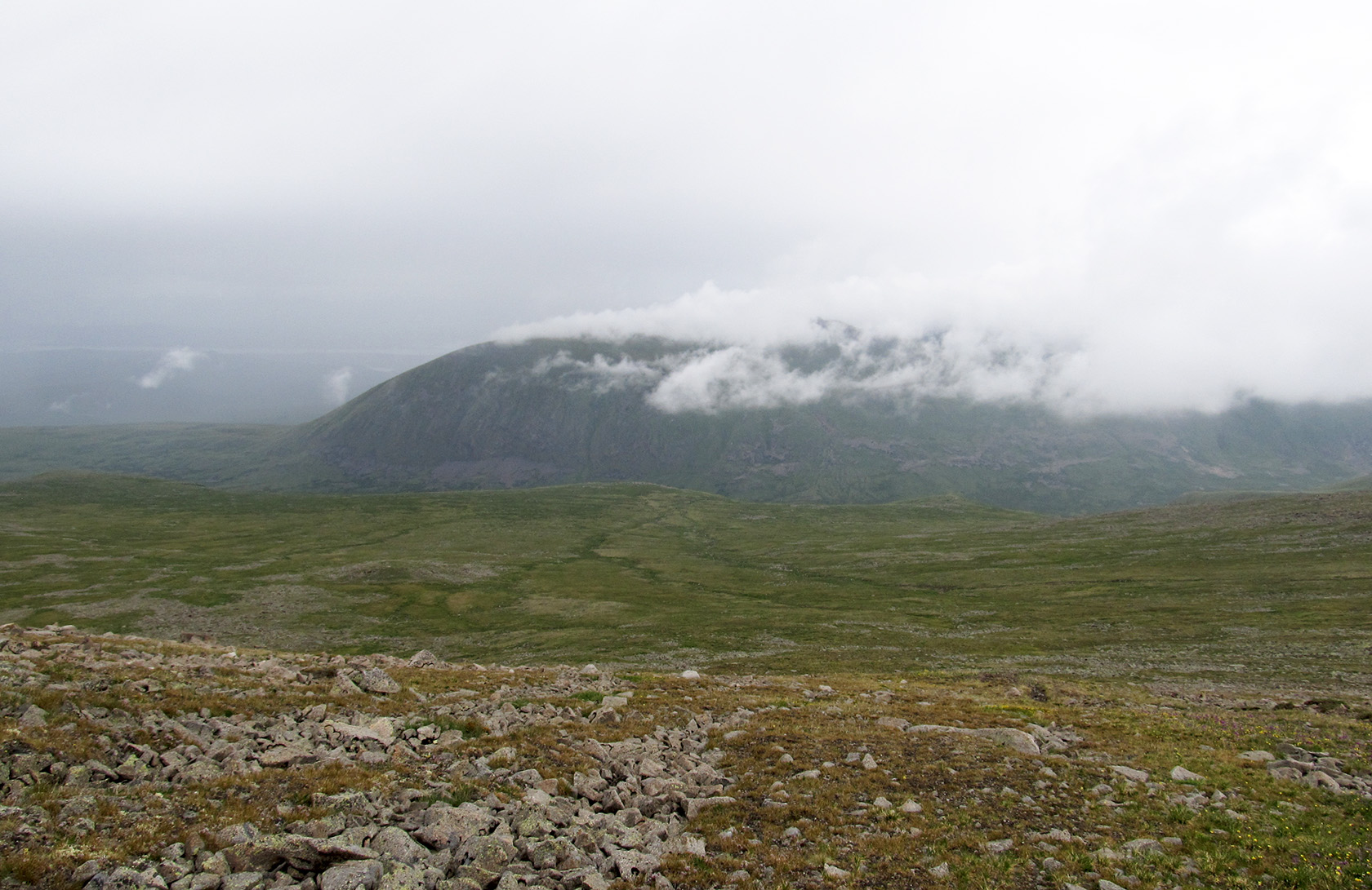 Монгун-Тайга, image of landscape/habitat.