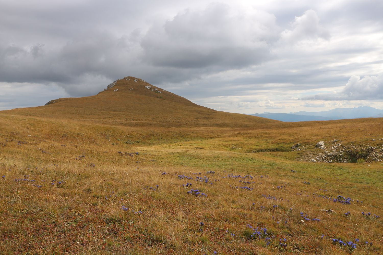 Блям, image of landscape/habitat.