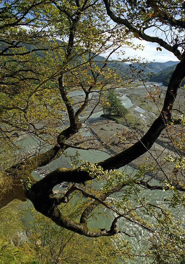 Шахе, image of landscape/habitat.