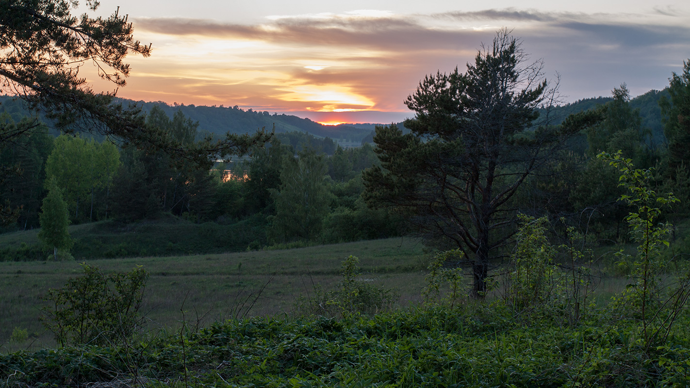 Изборско-Мальская долина, image of landscape/habitat.