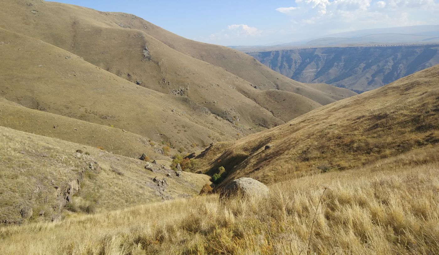 Урочище Cело Георгицминда, image of landscape/habitat.