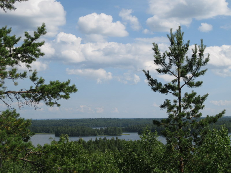 Кончозеро, image of landscape/habitat.