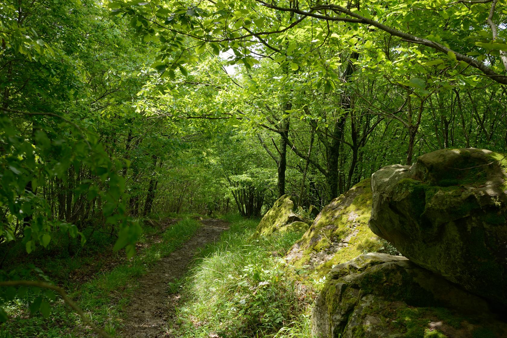 Успенка, image of landscape/habitat.