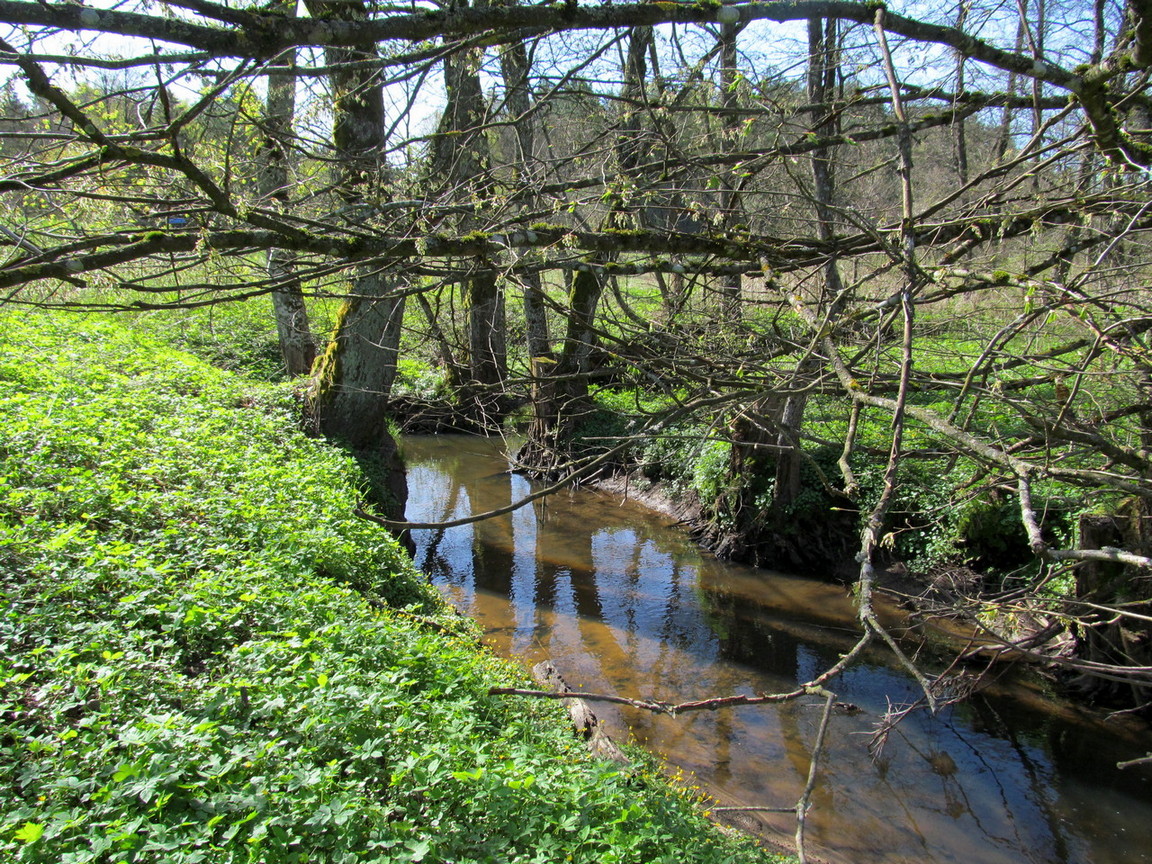 Река Нёвда, image of landscape/habitat.