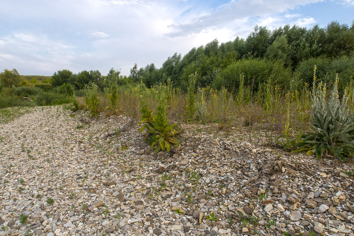 Река Неберджай, image of landscape/habitat.