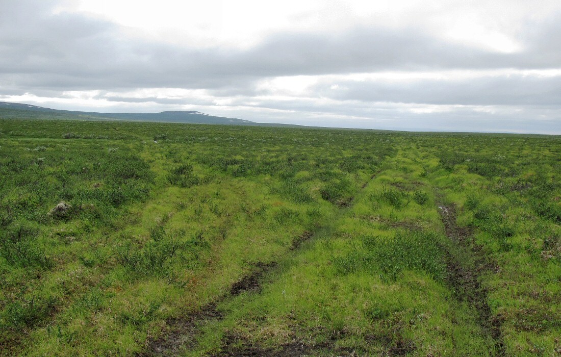 Лёкъелец, image of landscape/habitat.