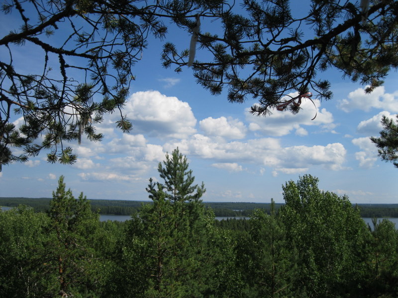 Кончозеро, image of landscape/habitat.