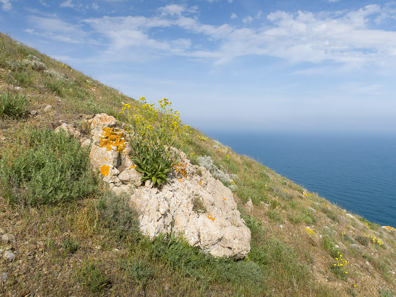 Киик-Атлама, image of landscape/habitat.