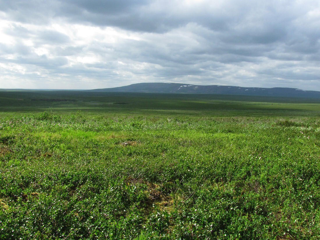 Лёкъелец, image of landscape/habitat.