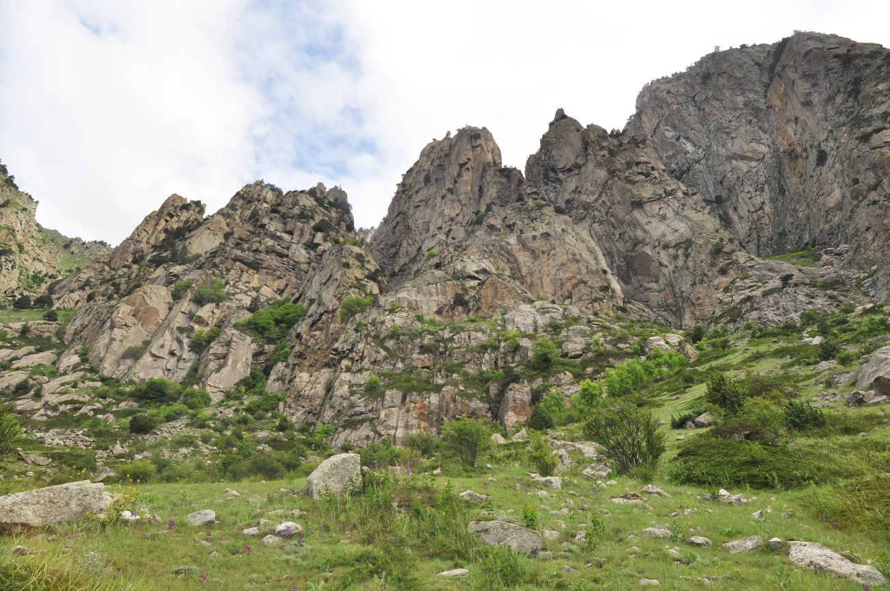 Окрестности города Тырныауз, image of landscape/habitat.