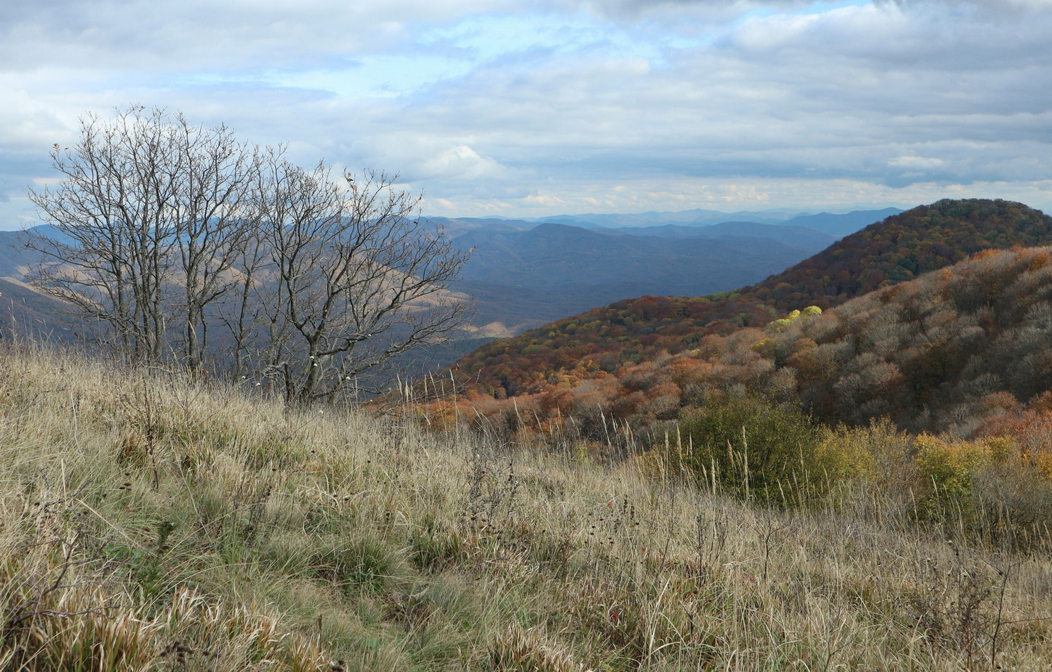 Гора Михайловка, image of landscape/habitat.