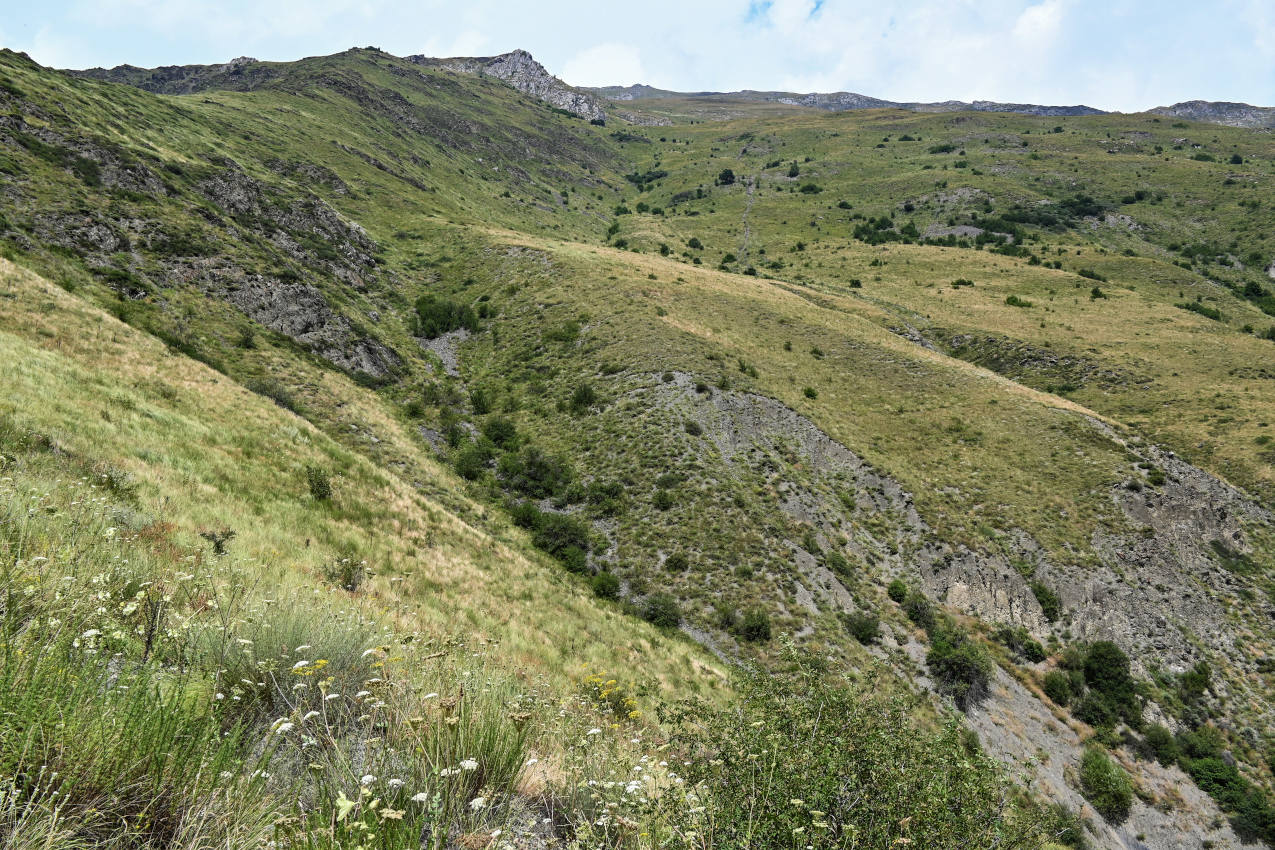 Цой-Педе, image of landscape/habitat.