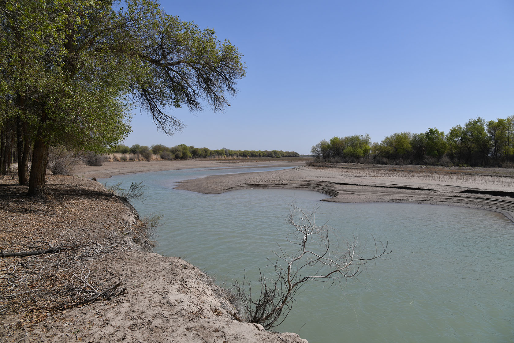 Бадай-Тугай, image of landscape/habitat.