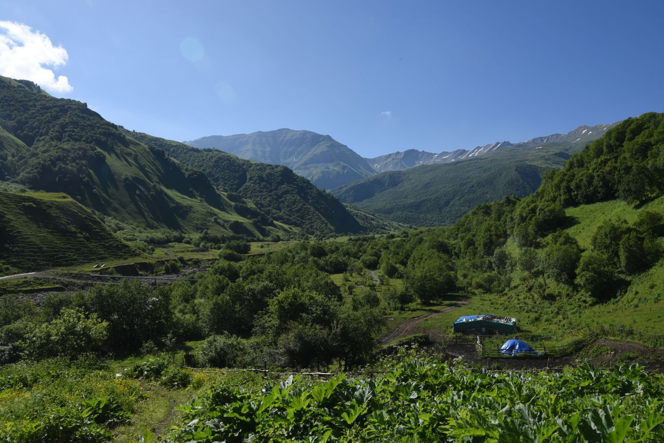 Селение Чайры и окрестности, image of landscape/habitat.