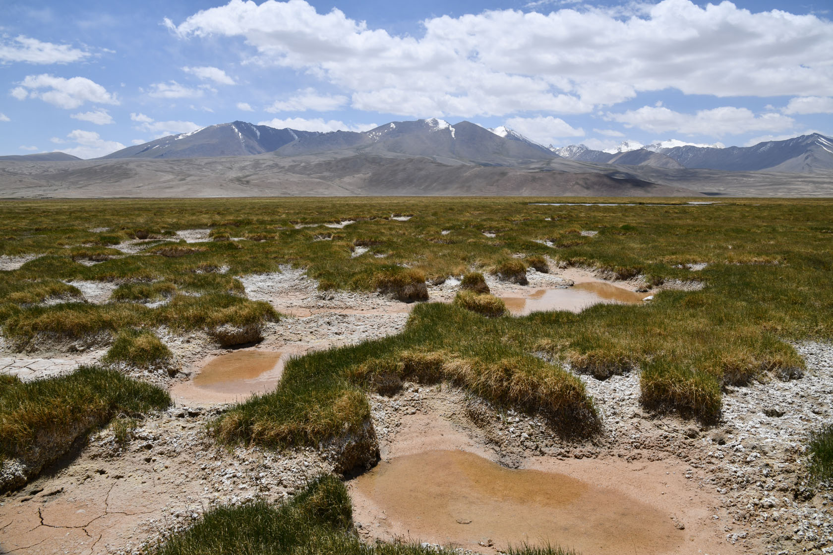 Аличурская долина, image of landscape/habitat.