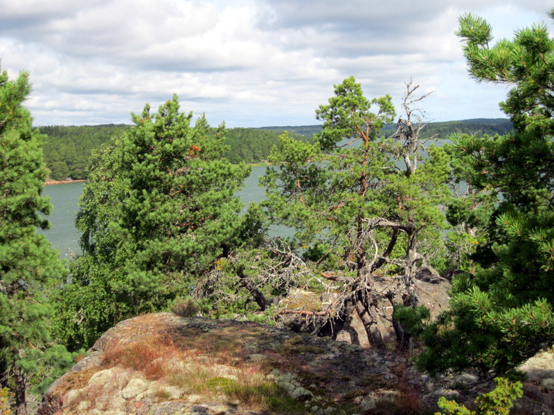 Аландские острова, image of landscape/habitat.