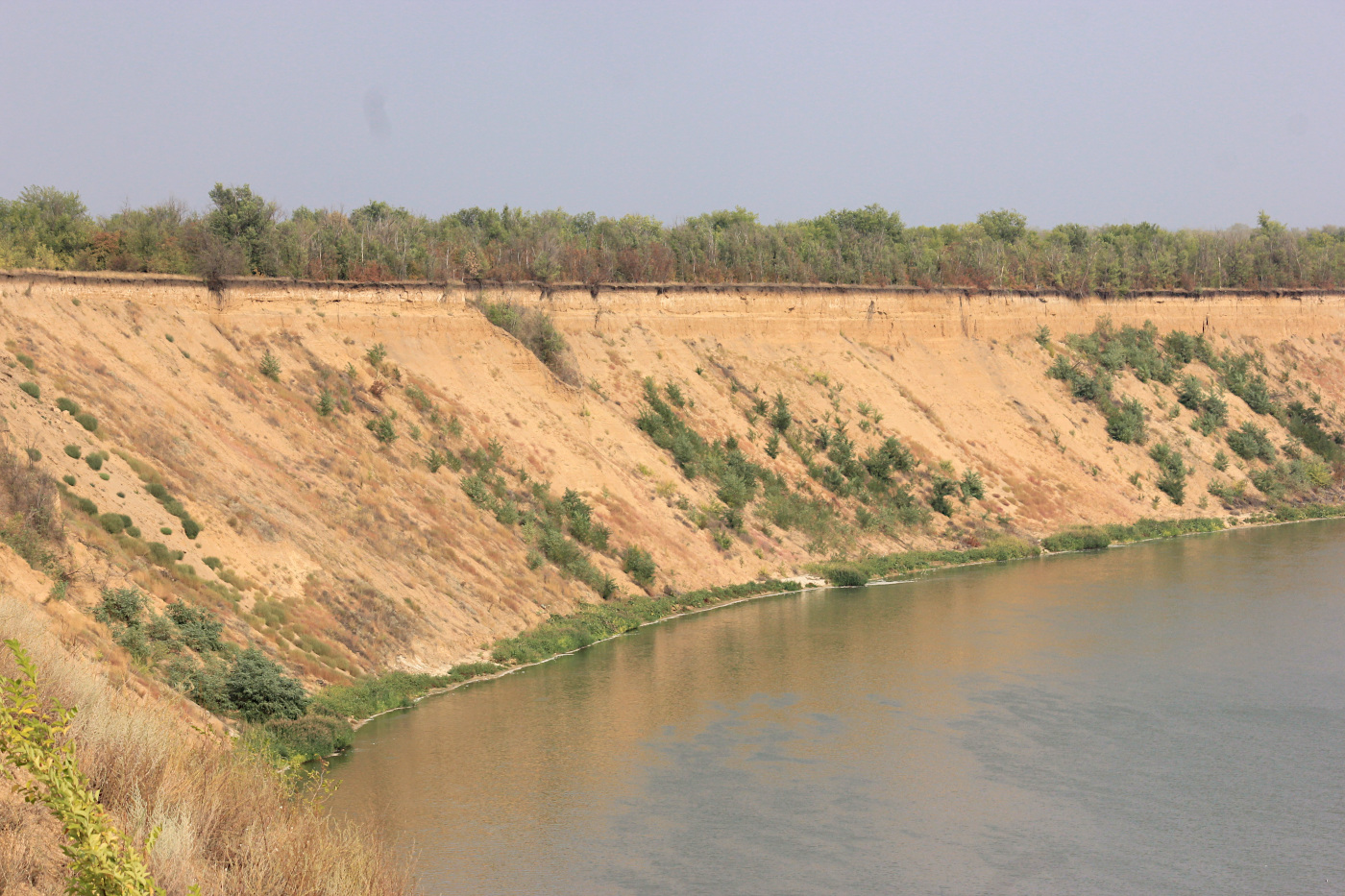 Станица Вёшенская и окрестности, image of landscape/habitat.