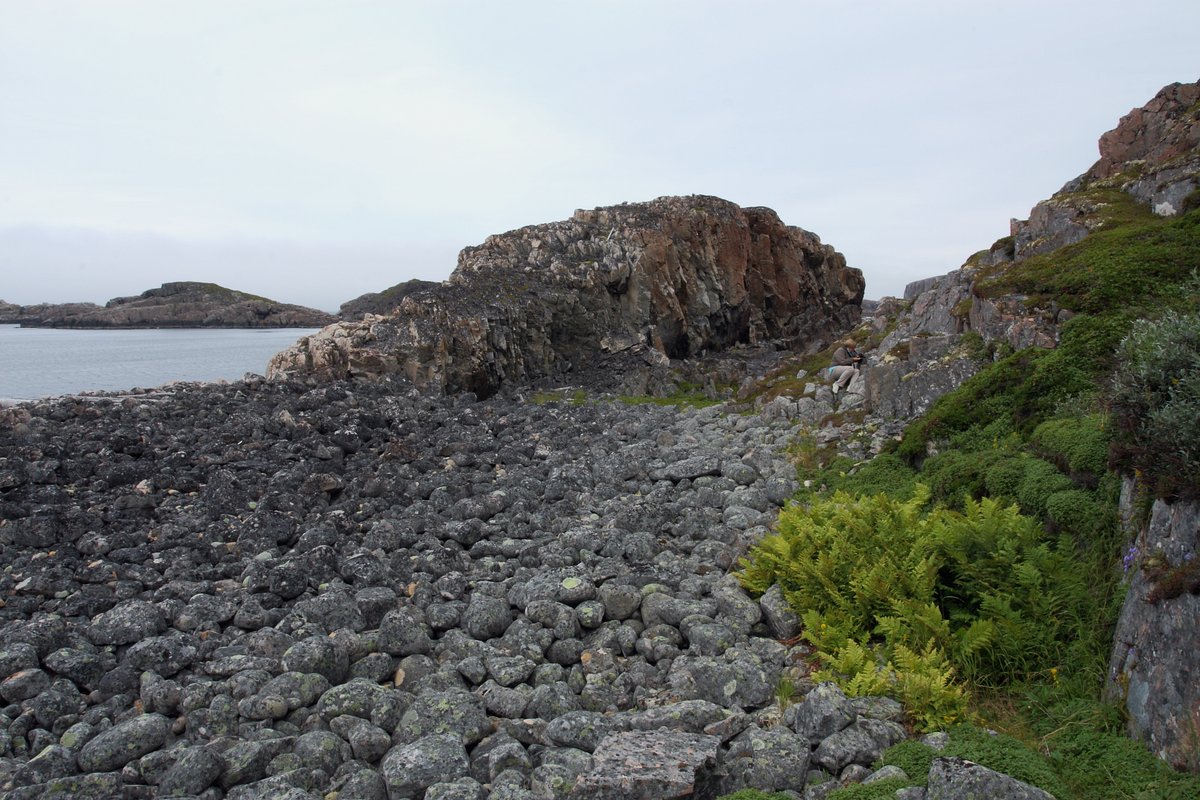 Плохие Чевры, image of landscape/habitat.