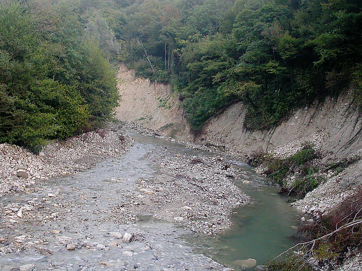 Лазаревское, image of landscape/habitat.