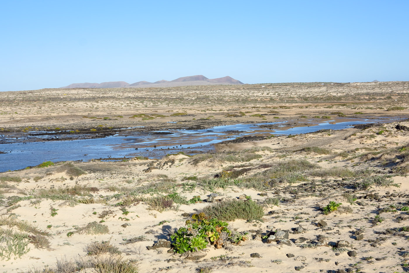 Эль Котильо и окрестности, image of landscape/habitat.