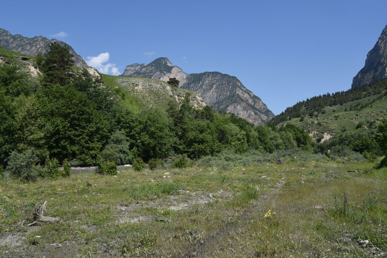 Окрестности урочища Таргим, image of landscape/habitat.